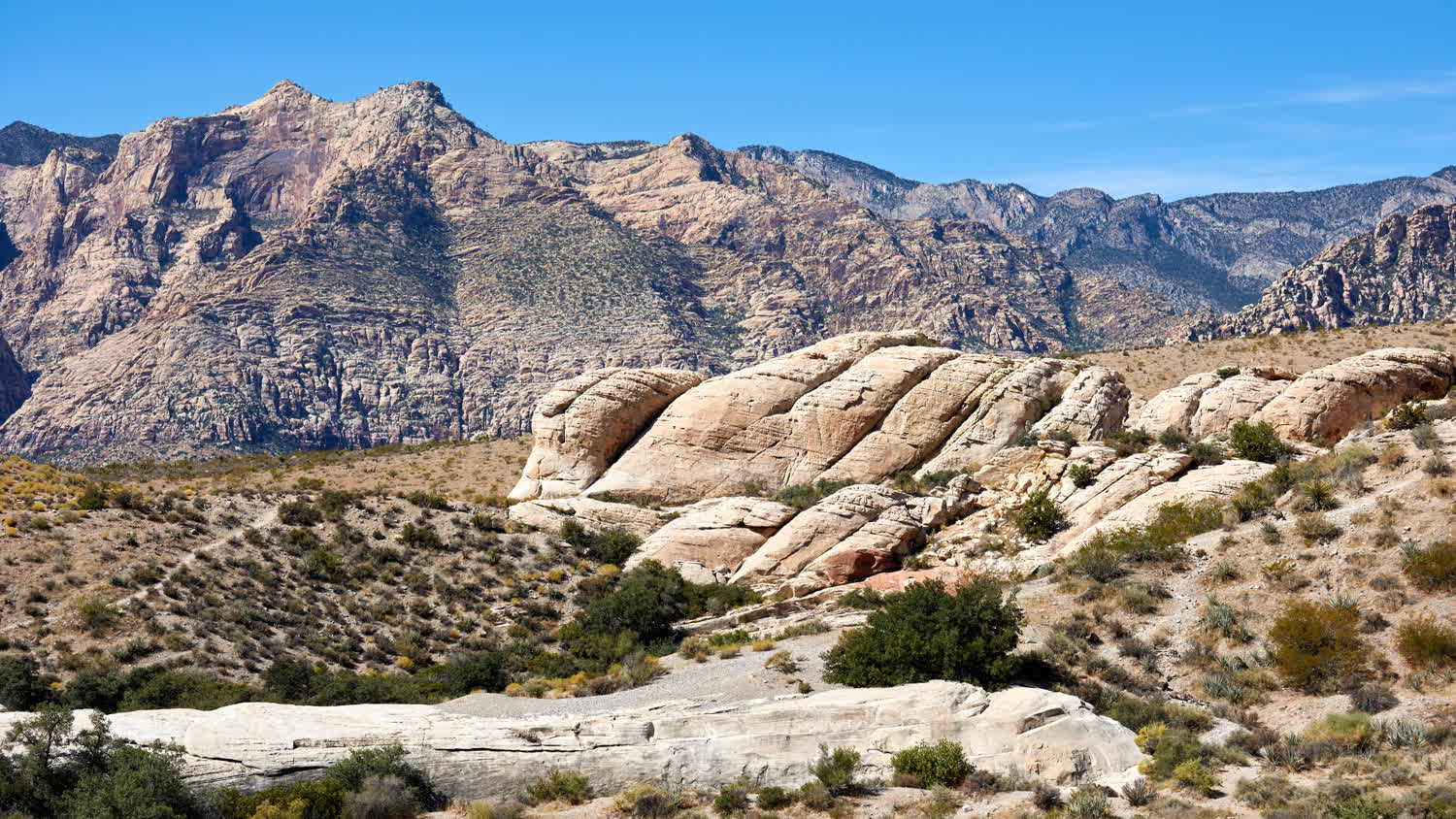 The Best Free Things to Do Off the Strip (2026)