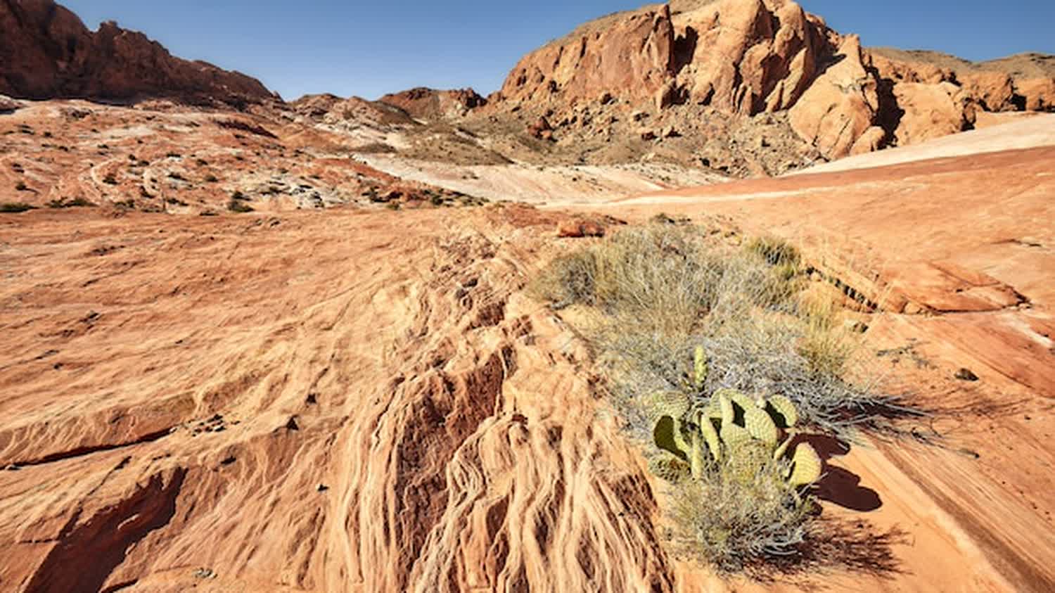 Las Vegas in March: Weather, Events & What to Do