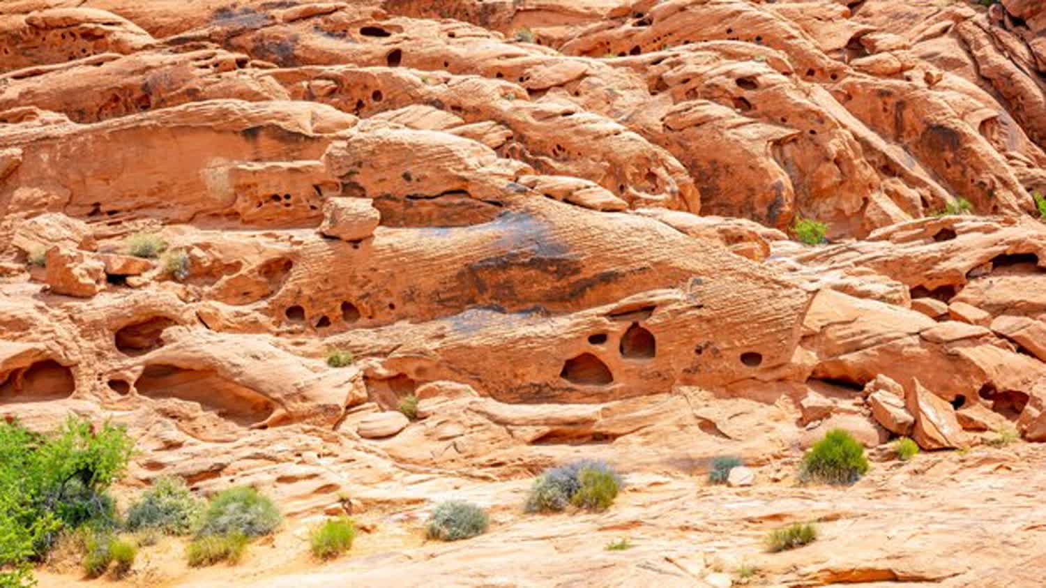 Valley of Fire Day Trip: Red Sandstone an Hour From Vegas