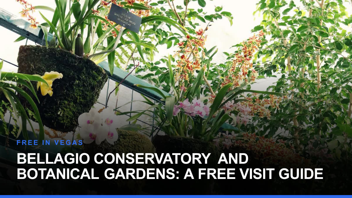 Bellagio Conservatory and Botanical Gardens: A Free Visit Guide
