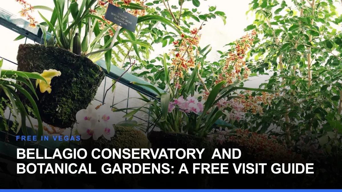 Bellagio Conservatory and Botanical Gardens: A Free Visit Guide