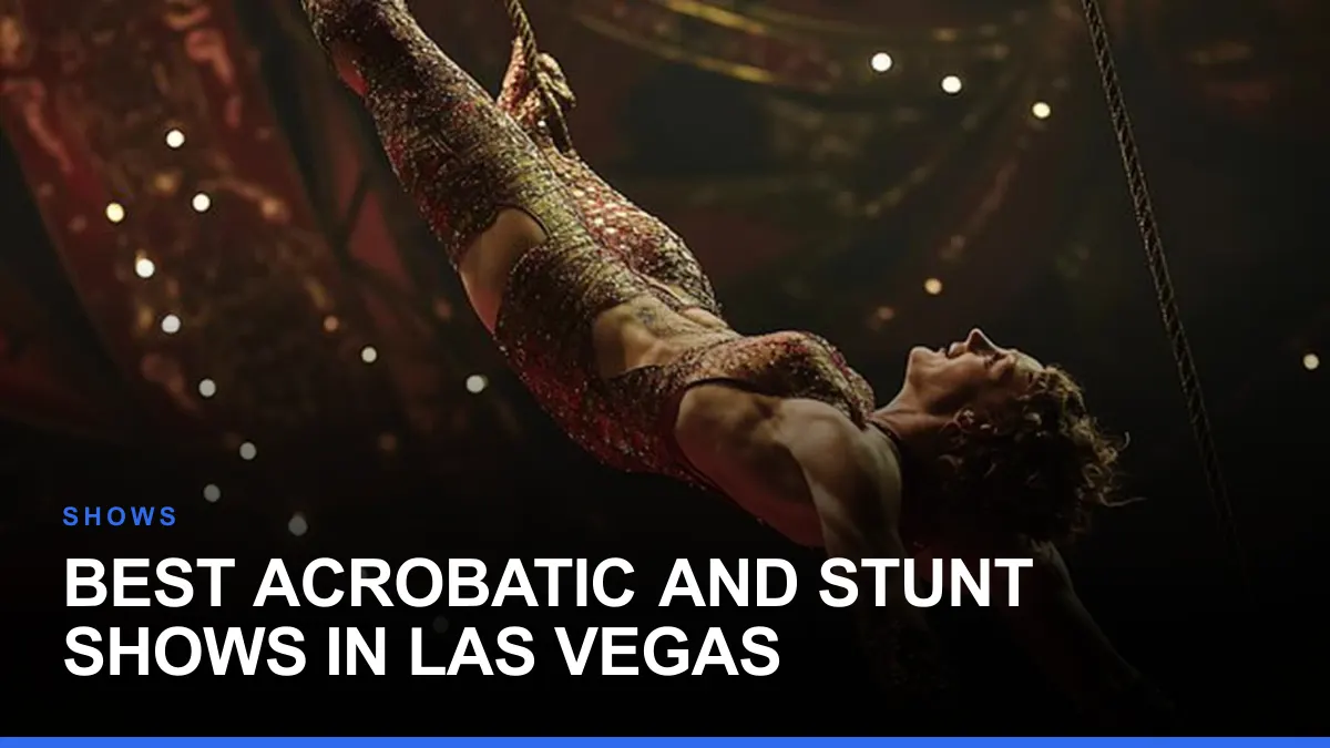 Best Acrobatic and Stunt Shows in Las Vegas