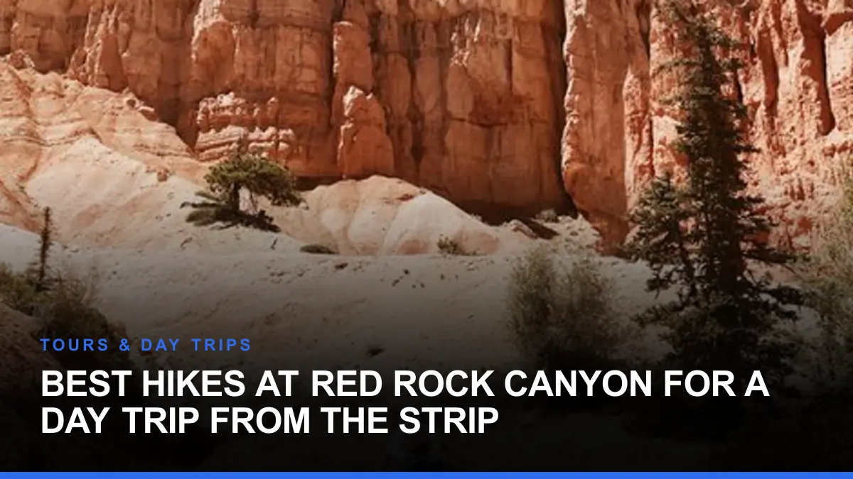 Best Hikes at Red Rock Canyon for a Day Trip From the Strip