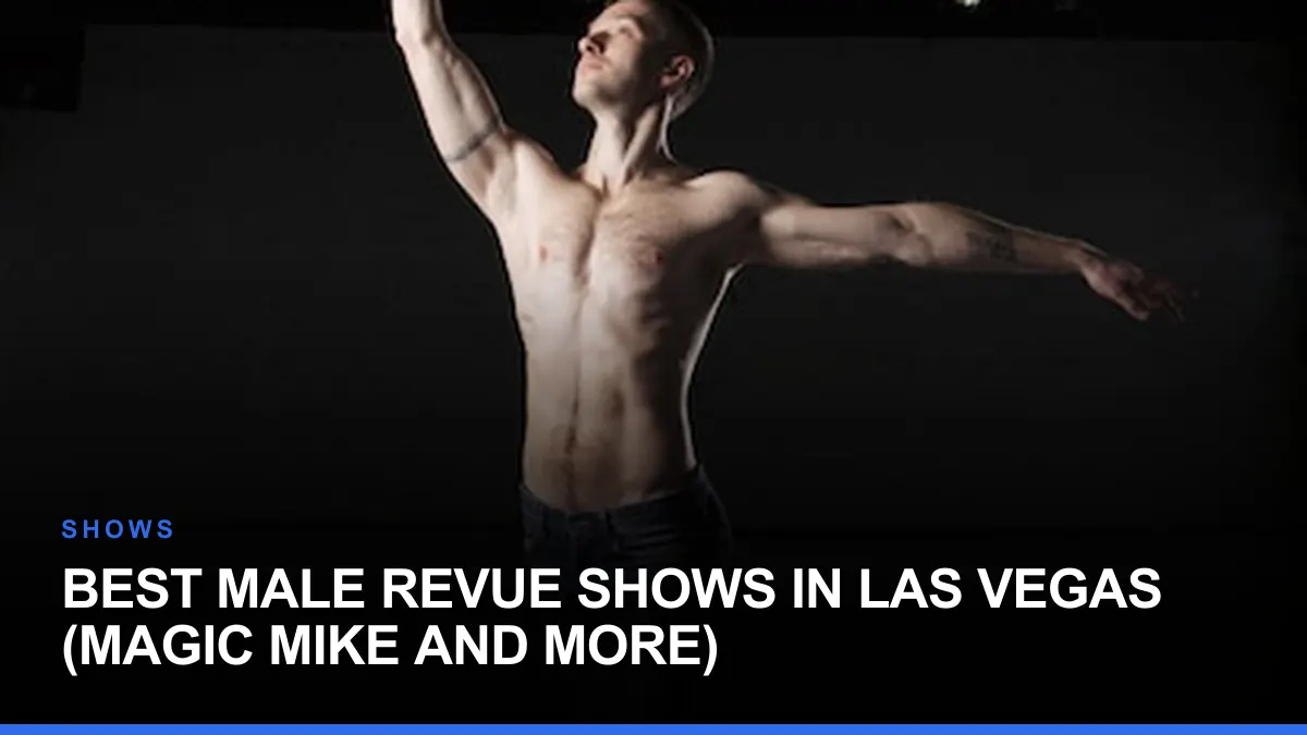 Best Male Revue Shows in Las Vegas (Magic Mike and More)